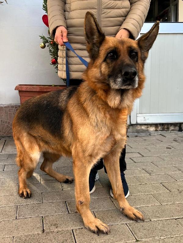 Gianna Dolcissima Chiede Aiuto